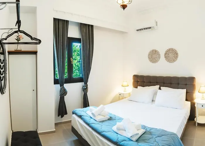 Apartment Anemoessa Mansion